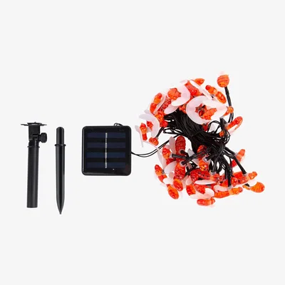 The Range 2m 50 LED Bee Solar String Lights Set Warm - Black