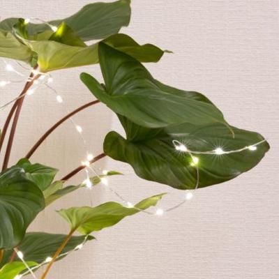 The Range Micro LED Solar Plant Lights Warm White Silver Wire With Stake 60 LED - White