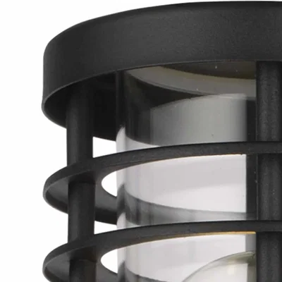The Range Bloom Outdoor Sensor Wall Light - Black And Clear Pc