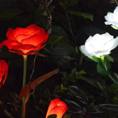 The Range Set of 2 Solar Rose Lights - Red