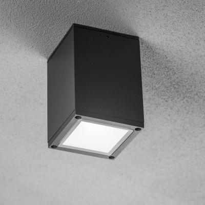 The Range CGC LEN Dark Grey Anthracite Outdoor Surface Mount Downlight  Spotlight - dark grey