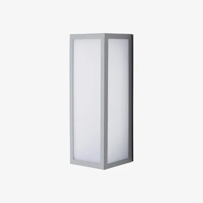 The Range Pictor Outdoor Glass Panel Wall Light - Silver