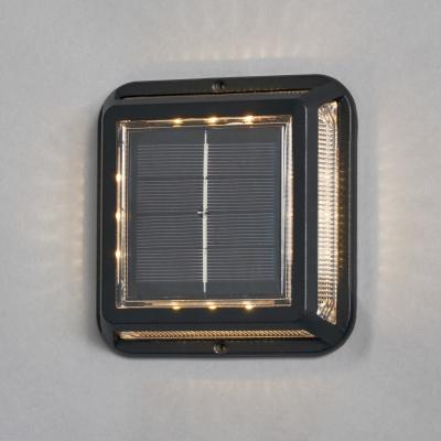 The Range Delonix Outdoor Solar Power Ground Light - Black