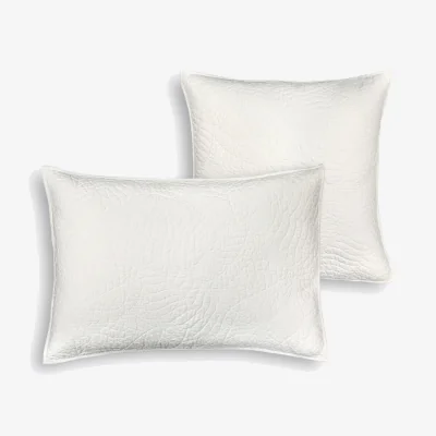 La Redoute Tropical Cotton Percale Cushion Cover