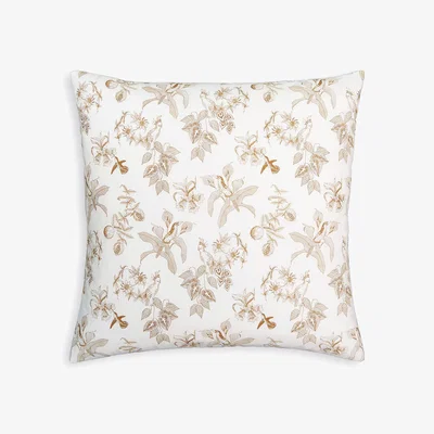 La Redoute Granadille 65x65cm Cotton Cushion Cover