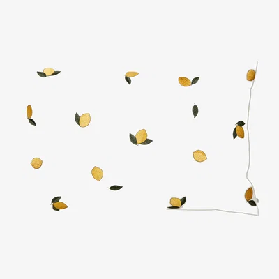 Nordic Nest Broste Copenhagen Lemon pillowcase 40x60 cm Golden yellow