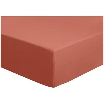 Habitat Habitat CM Polycotton Rust Fitted Sheet - Double