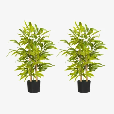 The Range Diso Set of 2 Artificial Bamboo Desk Plants in Pots, 60cm