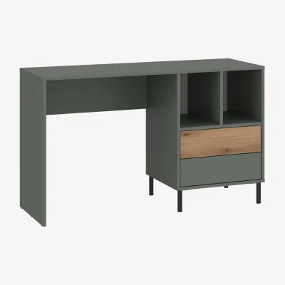 The Range Darwin Desk 2 Drawer in Green/Oak - Green & Oak