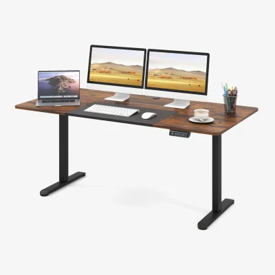 The Range Ergonomic Sit Stand Desk
