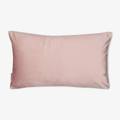 Amara Needlepoint Cushion