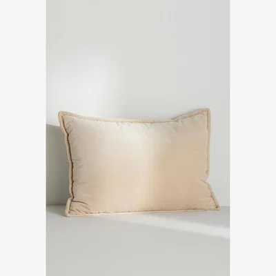 Anthropologie Velvet Trova Cushion