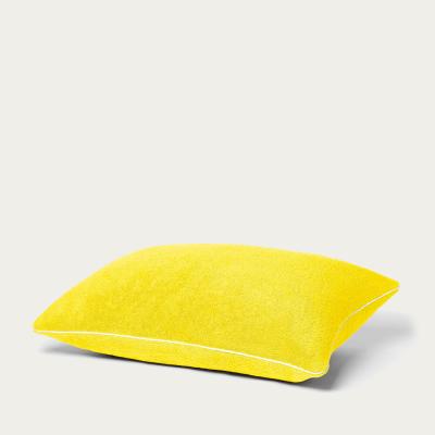 Bombinate.com Zenith Small Beach Pillow