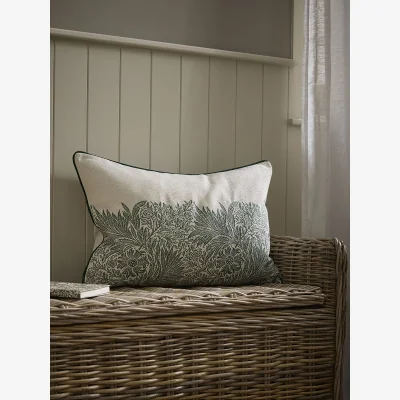Cox and Cox Cosmos Cushion - Sage
