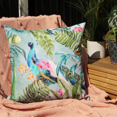 Dunelm Peacock Multicoloured Outdoor Cushion MultiColoured