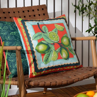 Dunelm furn Anemone Fruit Outdoor Square Cushion