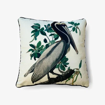 Dunelm John James Audubon Brown Pelican Velvet Square Cushion White