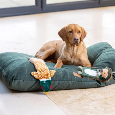 Dunelm House of Paws Tweed Cushion Bed