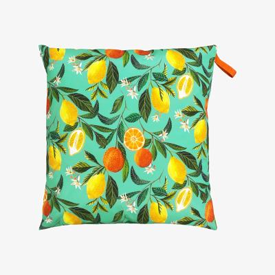 Dunelm Evans Lichfield Orange Blossom Outdoor Floor Cushion Orange/Green/White