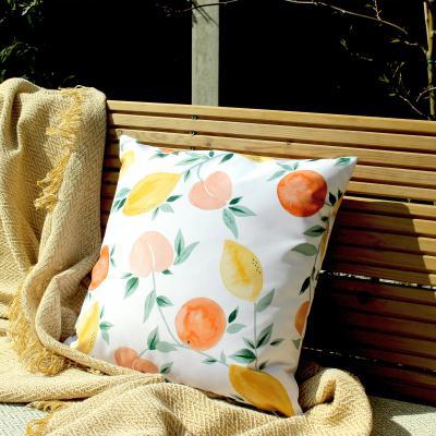 Dunelm Les Fruits Mulitcoloured Outdoor Cushion MultiColoured