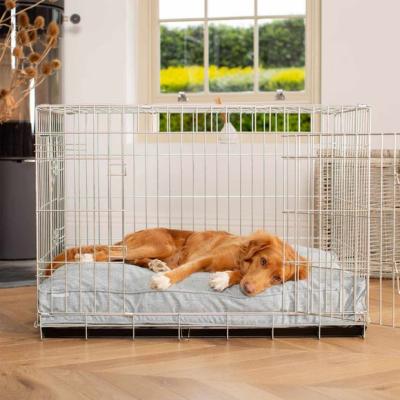 Dunelm Lords and Labradors Inchmurrin Dog Cushion