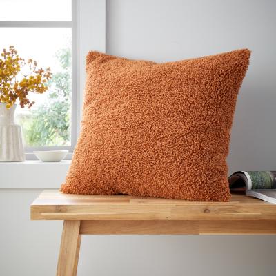 Dunelm Catherine Lansfield So Soft Velvet Boucle Square Cushion