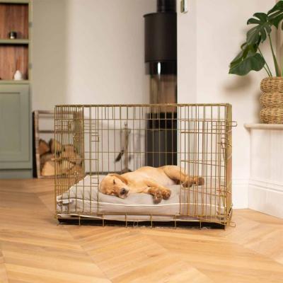 Dunelm Lords and Labradors Savanna Dog Cushion