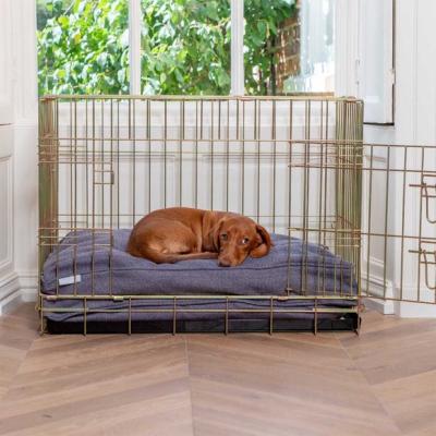 Dunelm Lords and Labradors Herringbone Dog Cushion