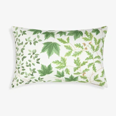 John Lewis Sanderson Sycamore Oak Cushion, Green