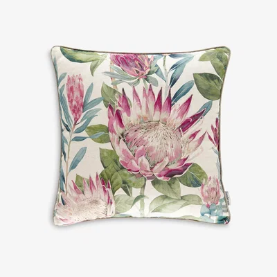 John Lewis Sanderson King Protea Cushion, Rhodera