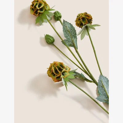 Marks & Spencer Moss & Sweetpea Set of 2 Artificial Pin Cushion Single Stems - White, White