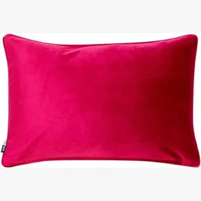 Olivia's Malini Luxe Rectangle Cushion in Fuschia