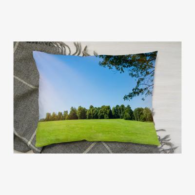 The Range Beauty Landscape Of Grass Field Cushion - Green
