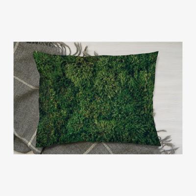 The Range Natural Green Moss Cushion - Green