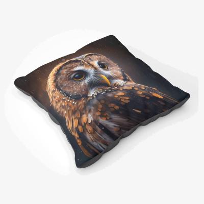 The Range Tawny Owl Face Splashart Dark Background Floor Cushion - Brown