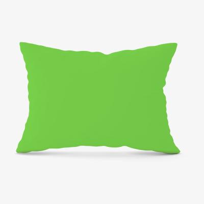 The Range Thyme Green Cushion - Green / 28cm