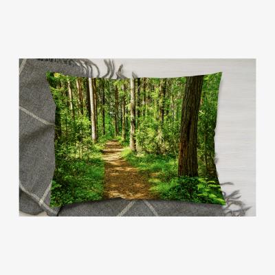 The Range Forest Trail Scene. Woodland Path Cushion - Green