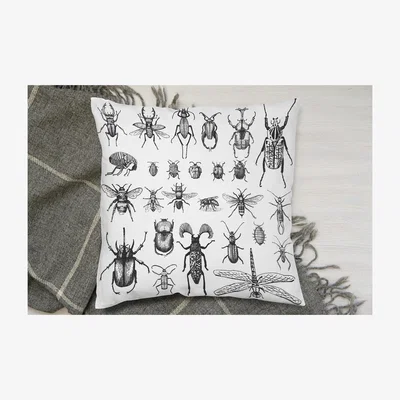 The Range Fleas Many Species In Vintage Old Hand Drawn Style Cushion - White