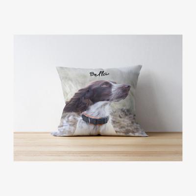 The Range Dog Cushion - Different Colours!
