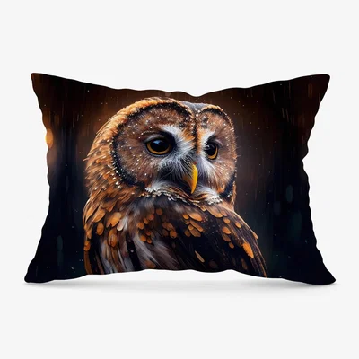 The Range Tawny Owl Face Splashart Dark Background Cushion - Brown / 33cm