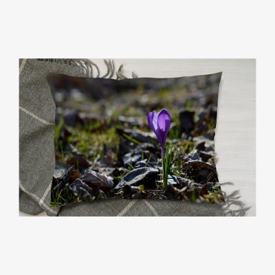 The Range Autumn Flower Bloom In Nature Cushion - Purple