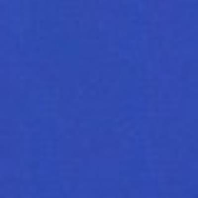 The Range SONGMICS 8ft Trampoline Replacement Cushion - Blue