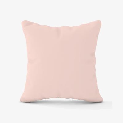 The Range Dusty Pink Outdoor Cushion - Pink / 60cm