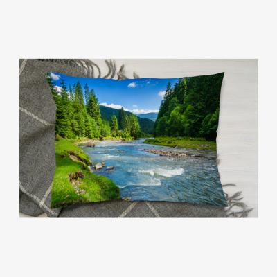 The Range Beautiful Scenery Cushion - Blue