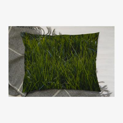 The Range Fresh Green Grass Background, Natural Grass Cushion - Green