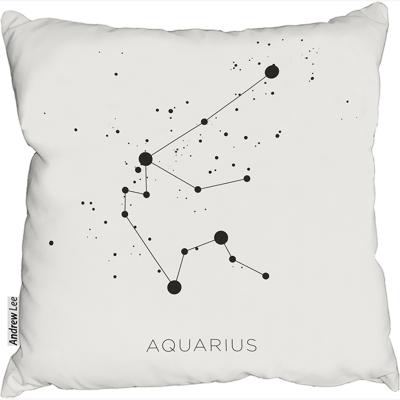 The Range Star Constellation Zodiac Aquarius Stylish Cushion - White / 60cm