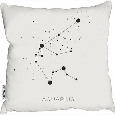 The Range Star Constellation Zodiac Aquarius Stylish Cushion - White / 60cm