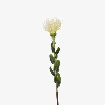 The Range Hill Interiors Pincushion Protea Spray Artificial Flower - Cream
