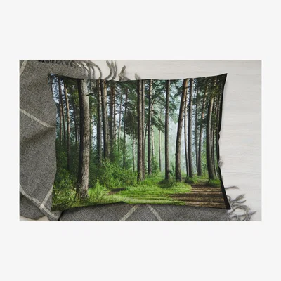 The Range Beautiful Summer Forest With Different Trees Cushion - Green