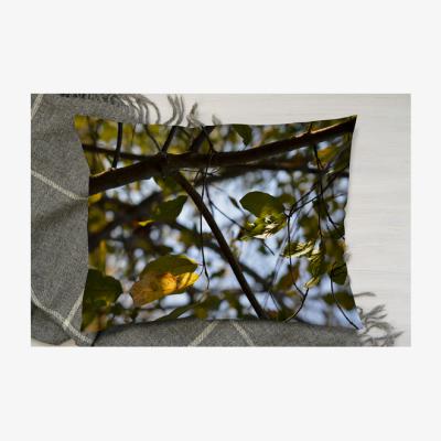 The Range Leaves And Branches Cushion - Green